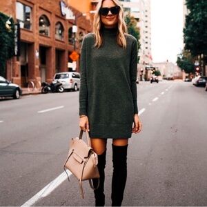 Everlane turtleneck dress